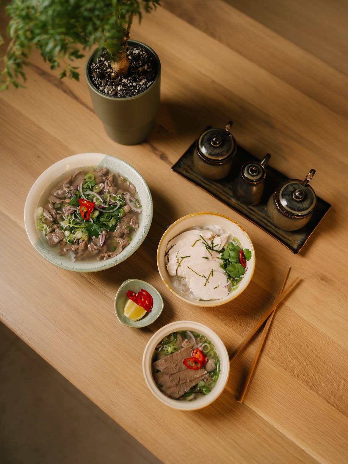 Pho Bo